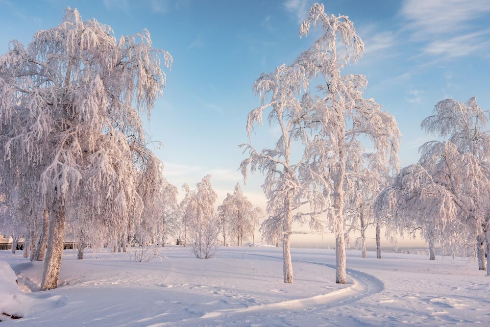 Photograph by Соколова Елена