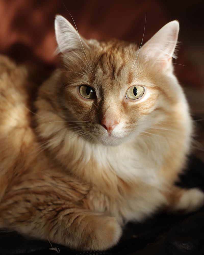 Photograph by Сергей Соколов