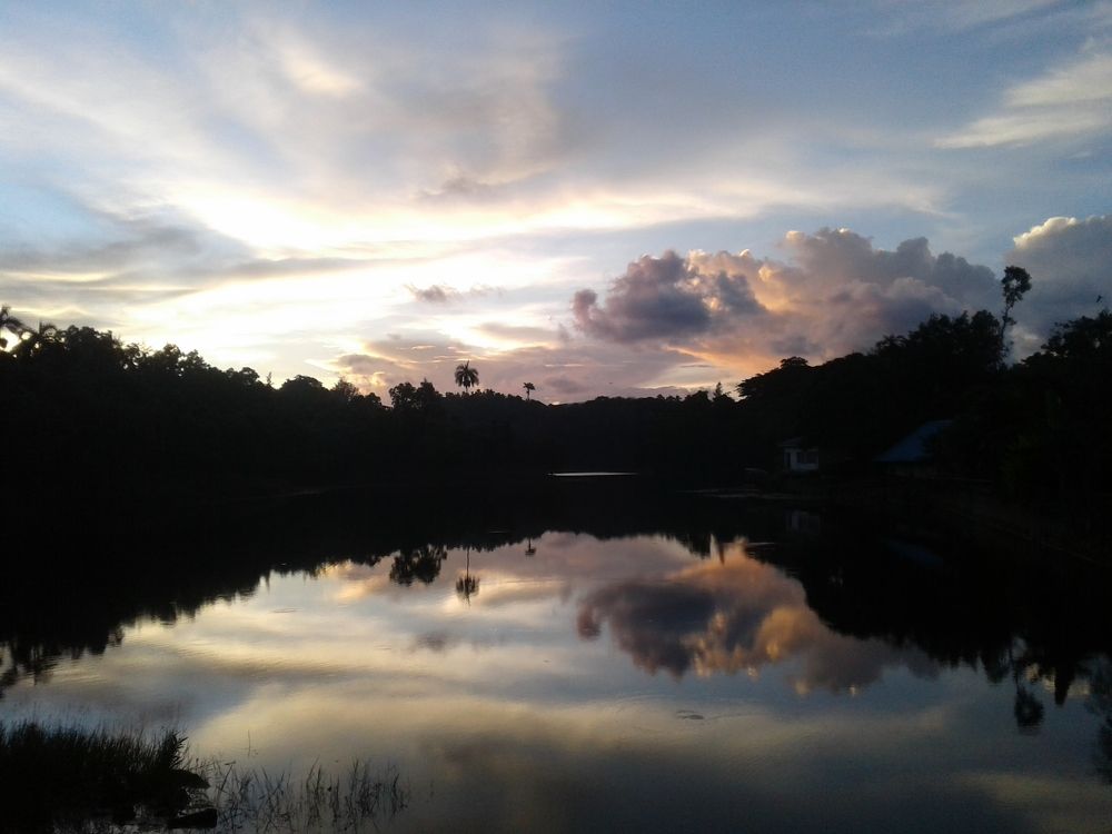 Photo #8717037