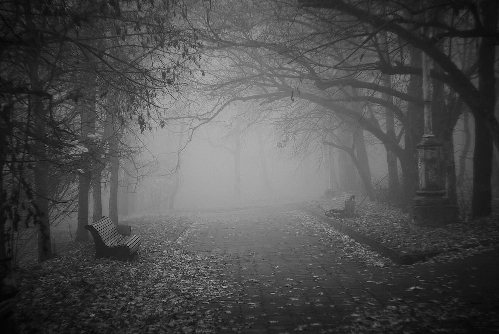 Photograph by Петр