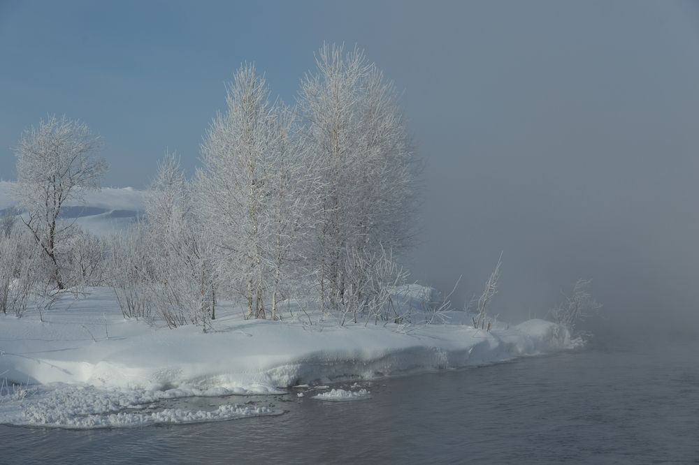 Photograph by Игорь Щербаков