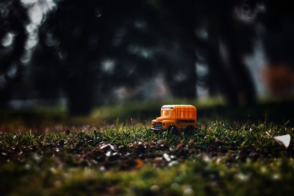 Photograph by Mahdi Reihani Bozorg