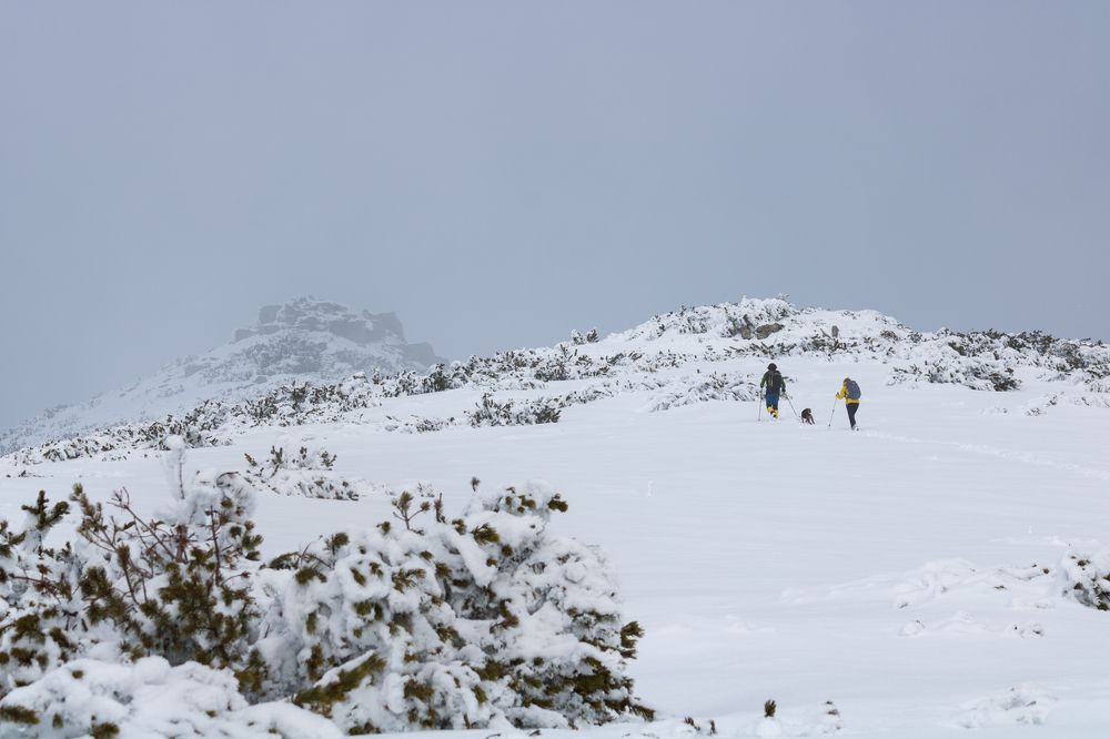 Photograph by Tonova Vania