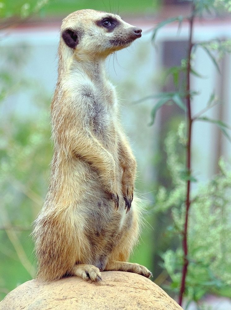 Photograph by Магалян Артём