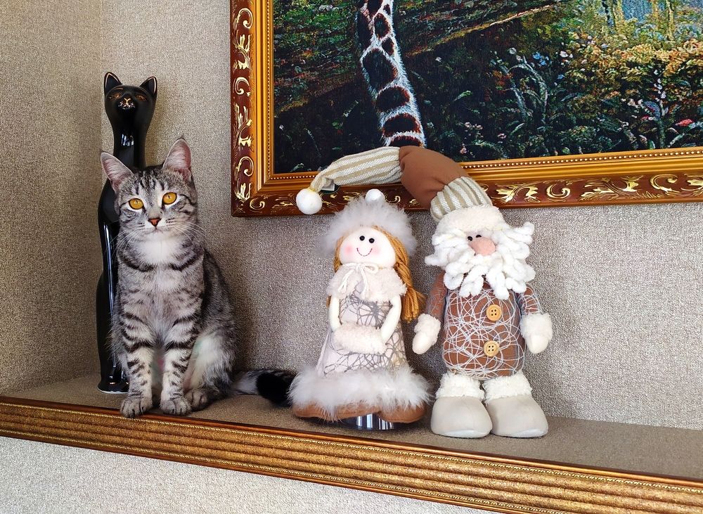 Фотография автора Михаил Кузнецов