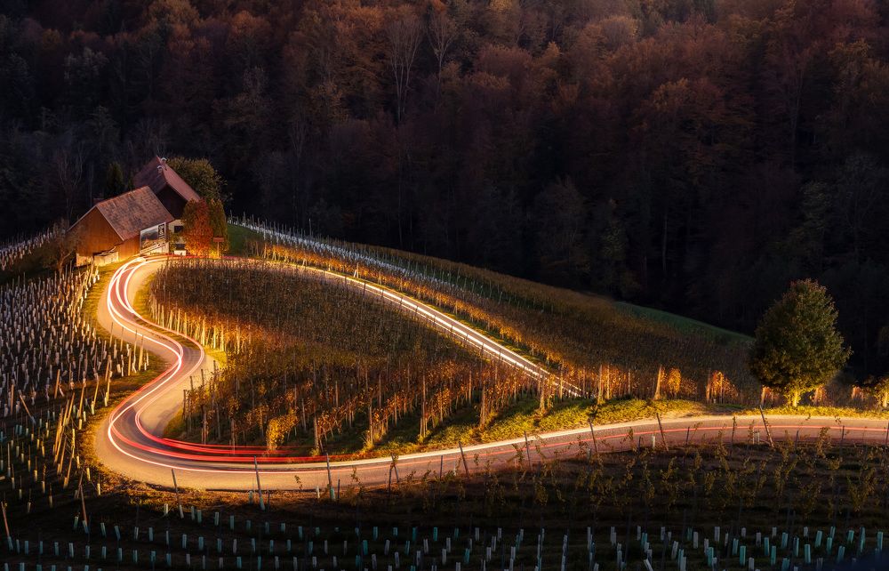 Photograph by Valentin Bițoi