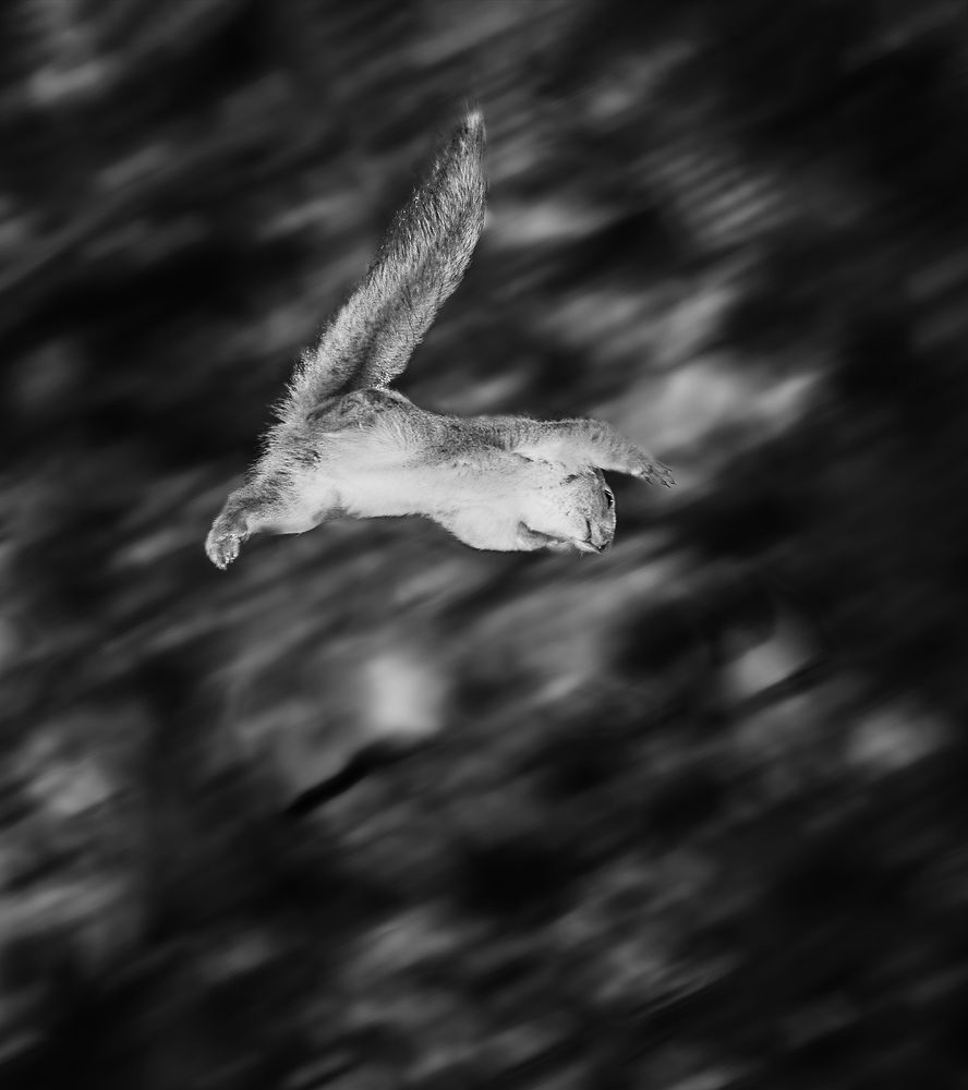 Photograph by Наталья Болотенков