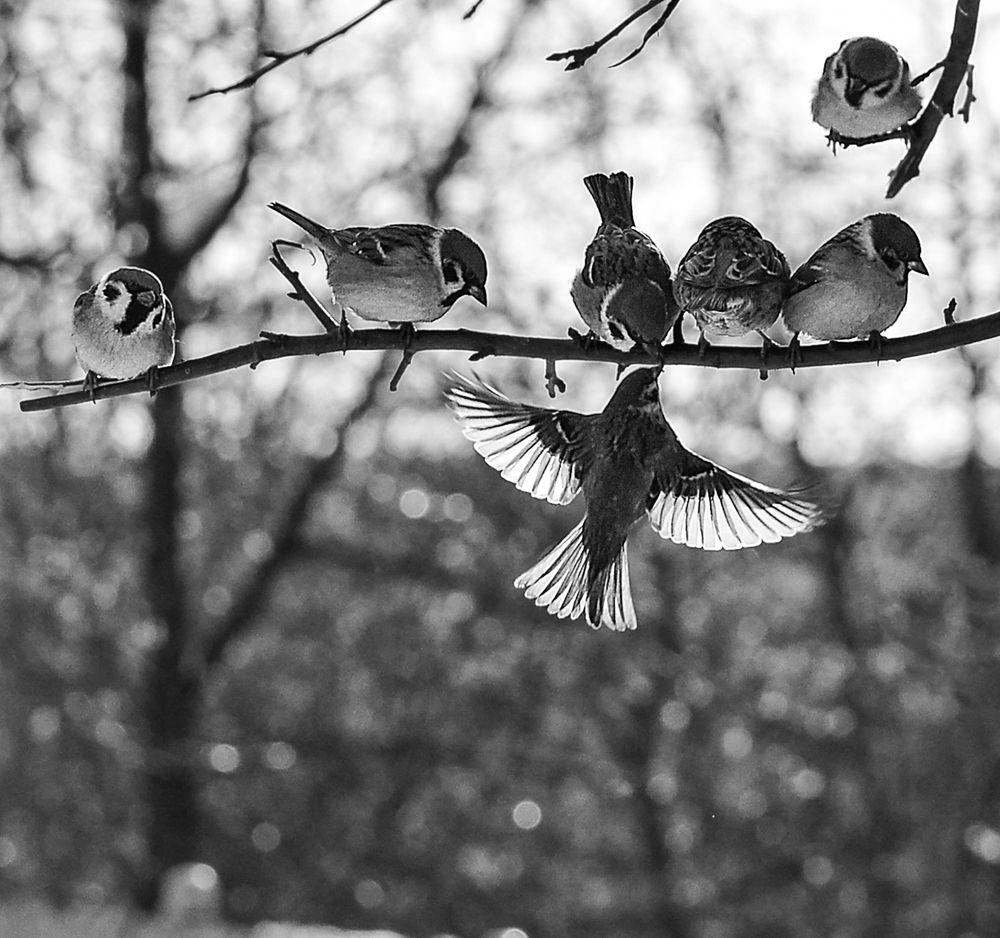 Photograph by Наталья Болотенков