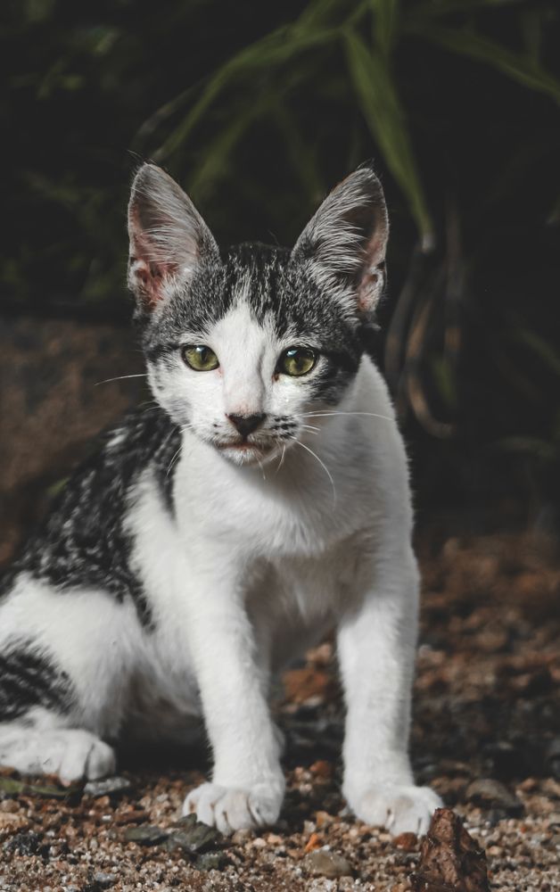 Photograph by Sam Nadith