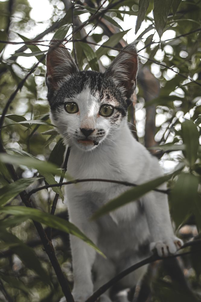 Photograph by Sam Nadith