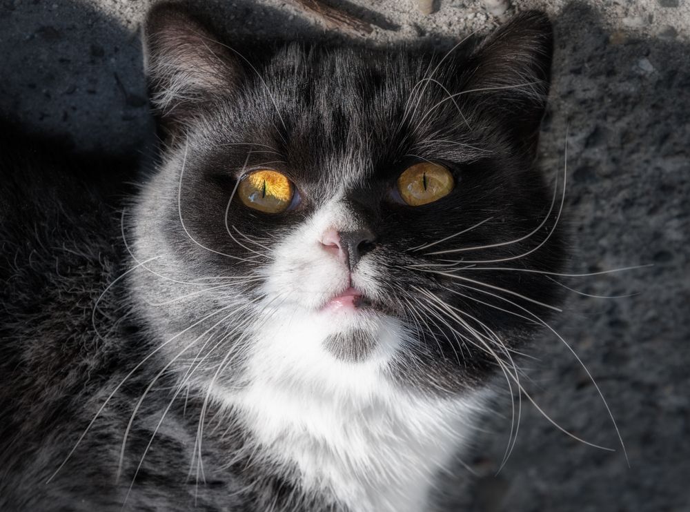 Photograph by Владимир Кваша