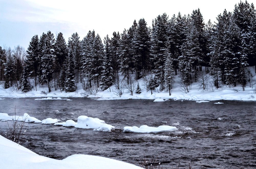 Photograph by Ксения Рябухина