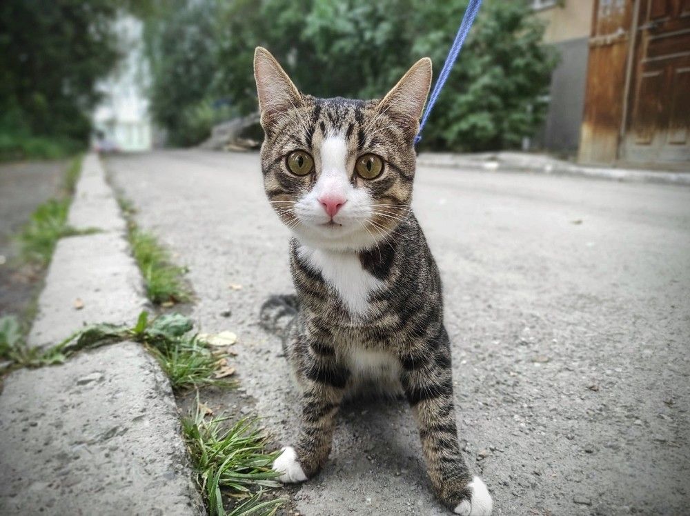 Photograph by Ирина Саттарова