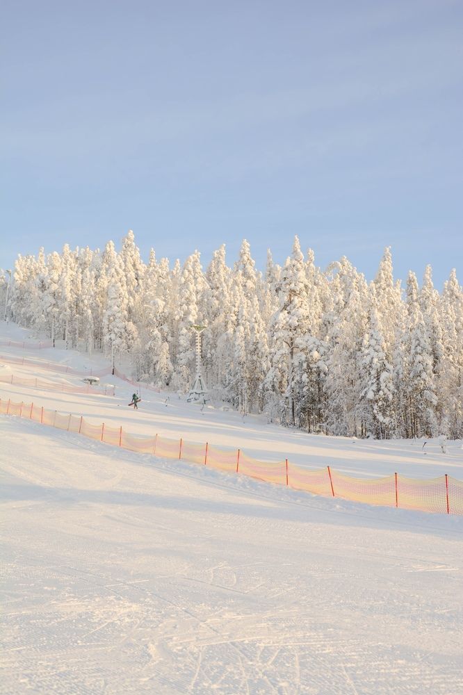 Photograph by Ксения Рябухина