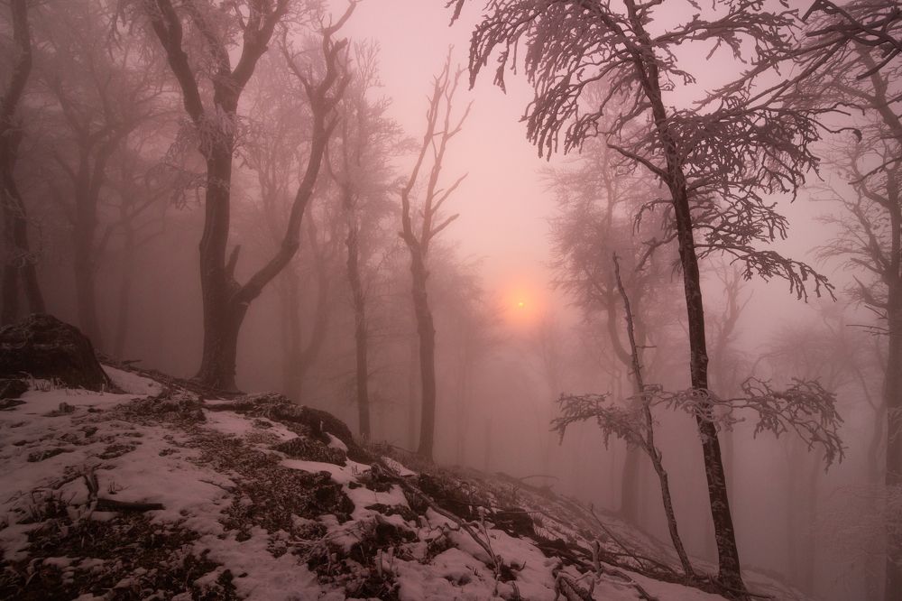 Photograph by Lukas Kulla