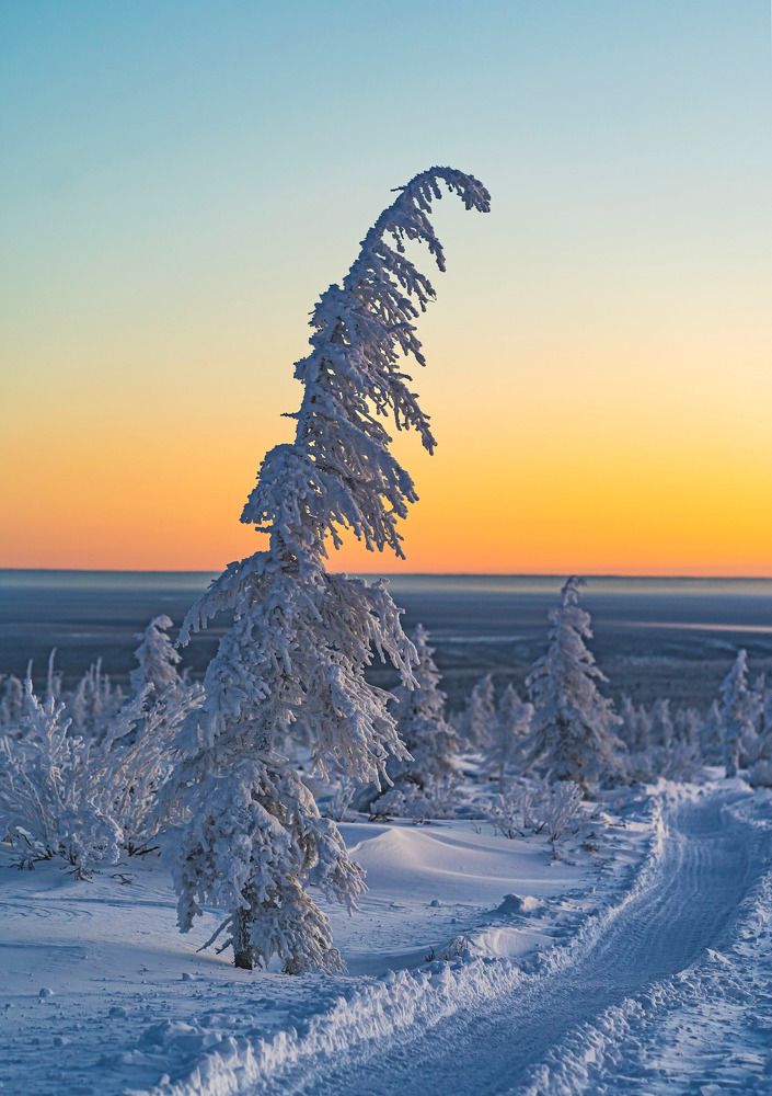 Photograph by Галина Искандарова