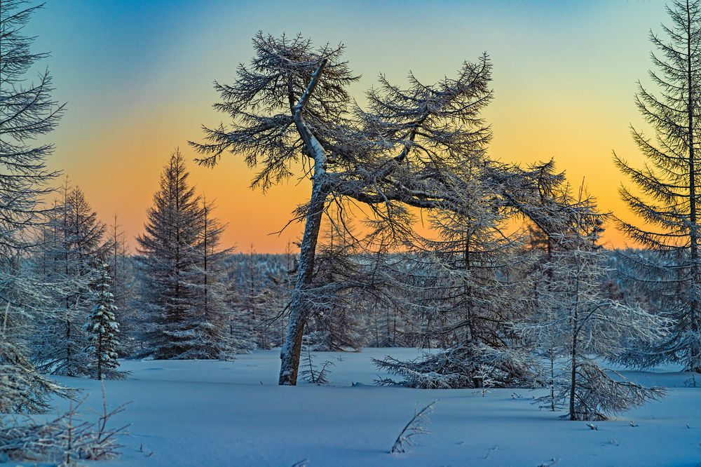 Photograph by Галина Искандарова