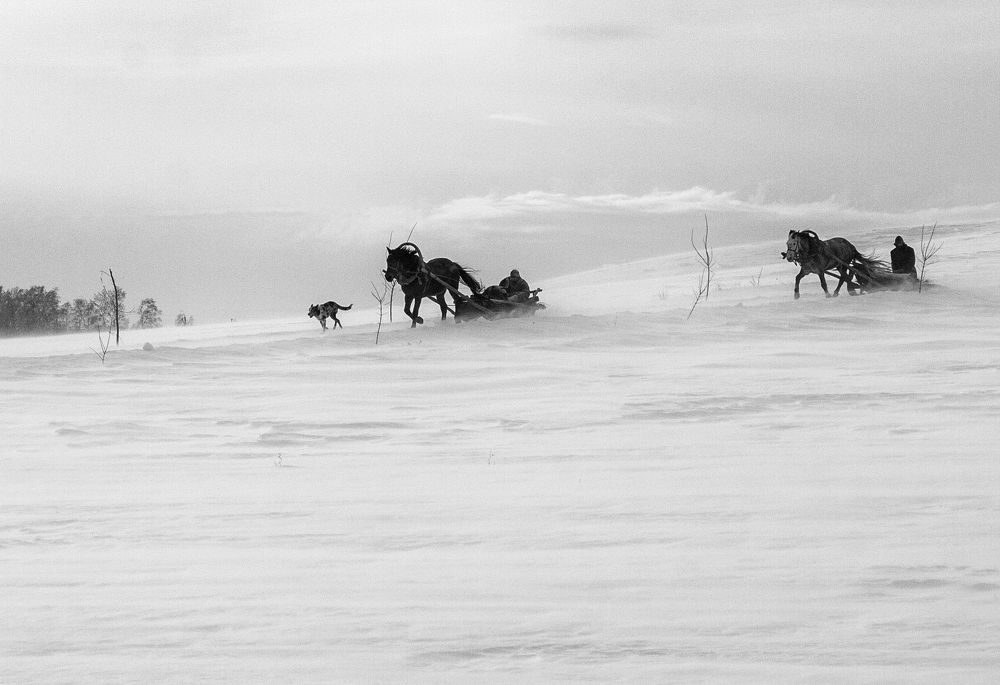 Photograph by Тамара Андреева