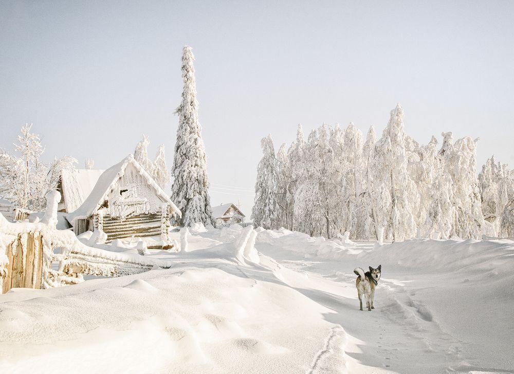 Photograph by Тамара Андреева