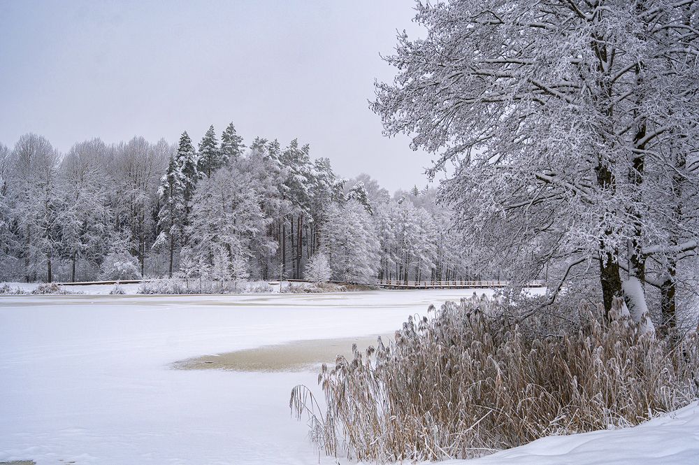 Photograph by Intars Supins