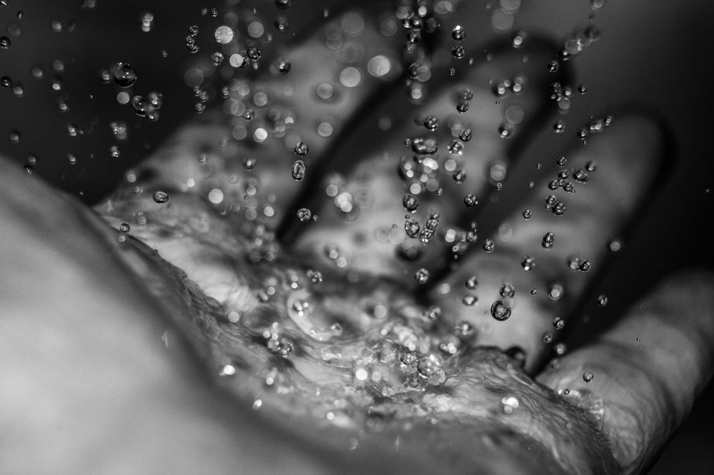 Ловите жизнь.