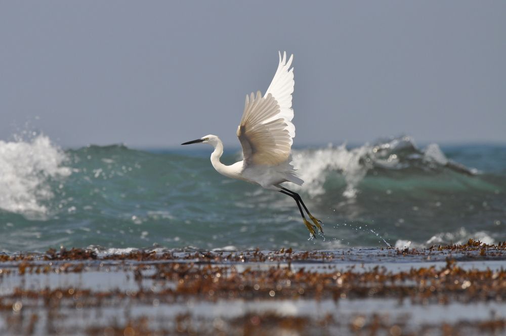 Photograph by Ошеров Григорий Семенович