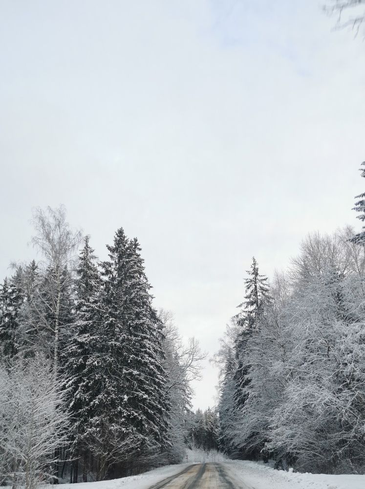 Фотография автора Ольга Матусевич