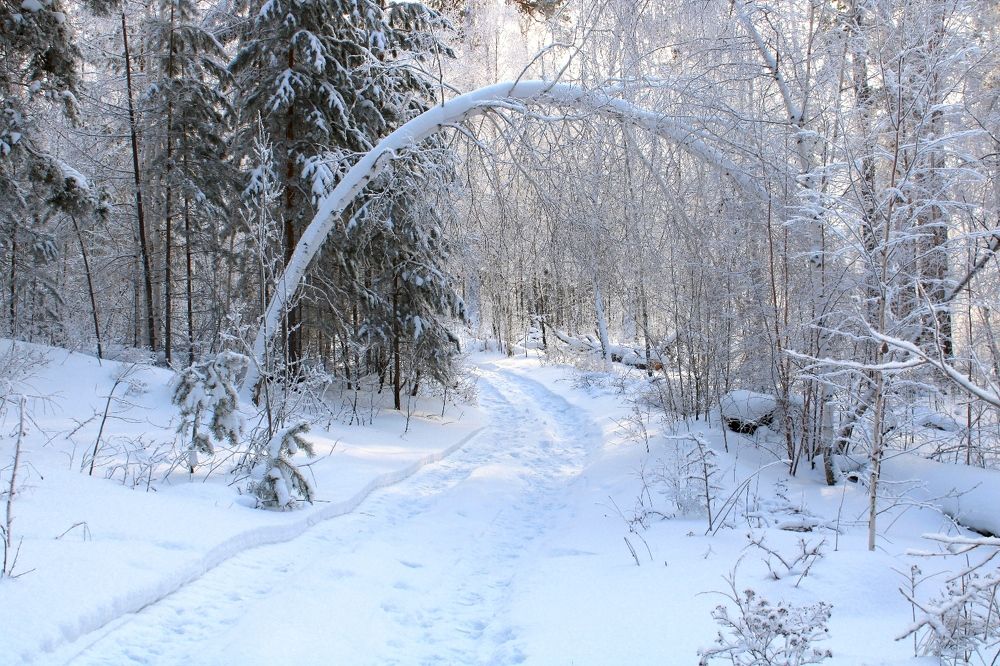 Photograph by Елена Кузнецова