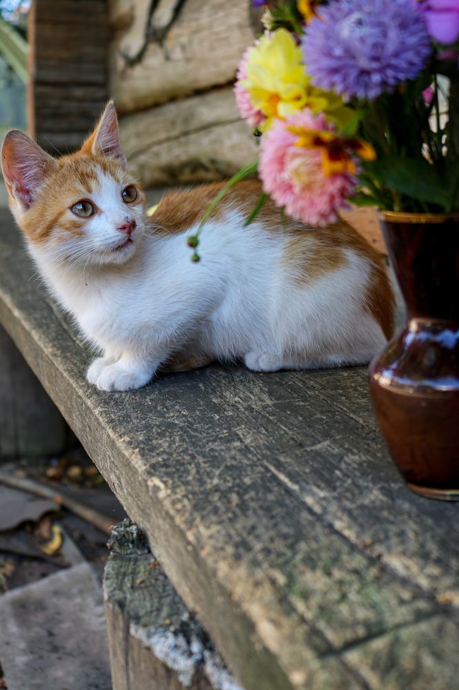 Photograph by Наталья Клячина