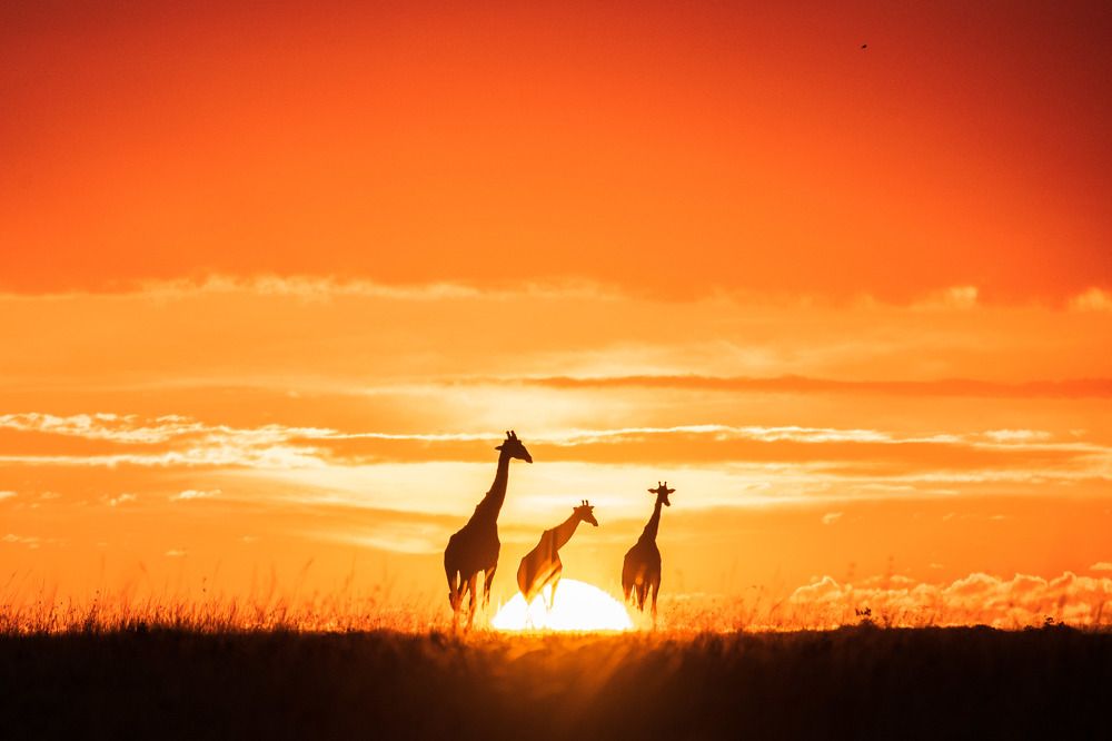 Photograph by Zubair Irshad