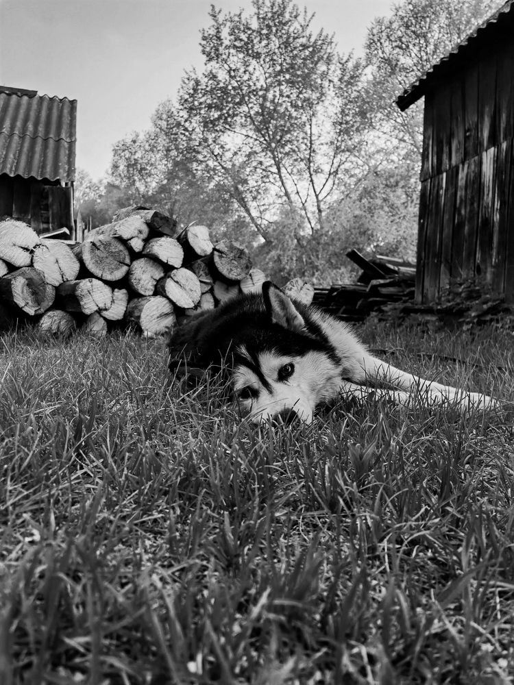 Photograph by Олеся