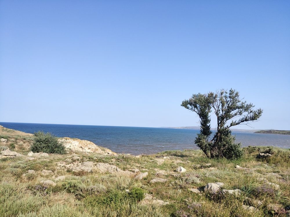 Photograph by Анастасия Моисеева