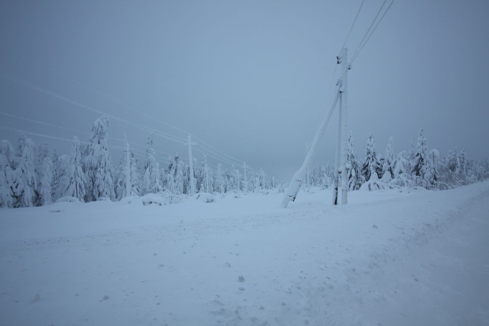 Photograph by Солонин Андрей