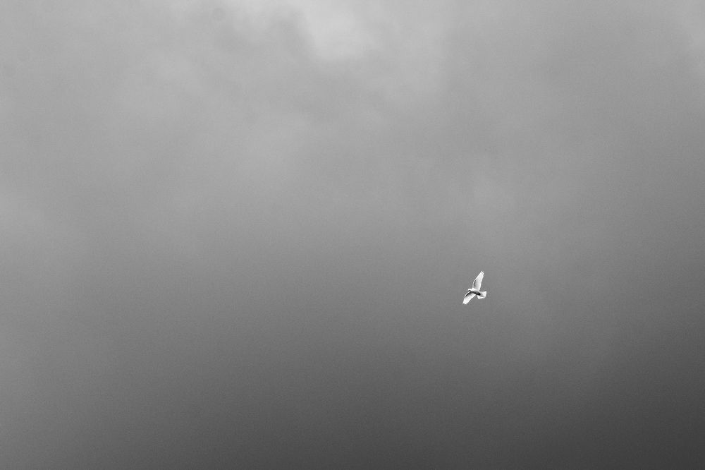 Photograph by Татьяна Носкович