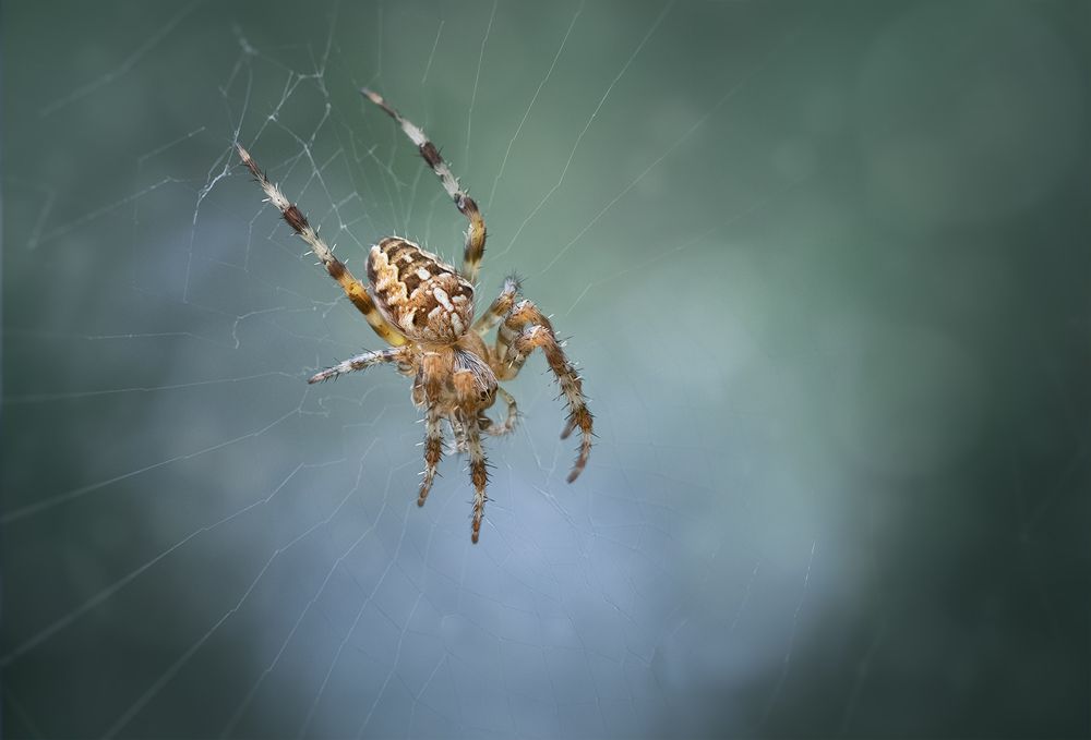 Photograph by Хилько Марина