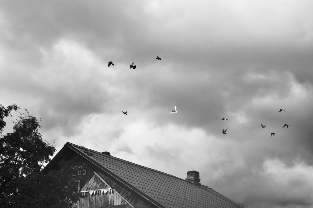 Photograph by Татьяна Носкович