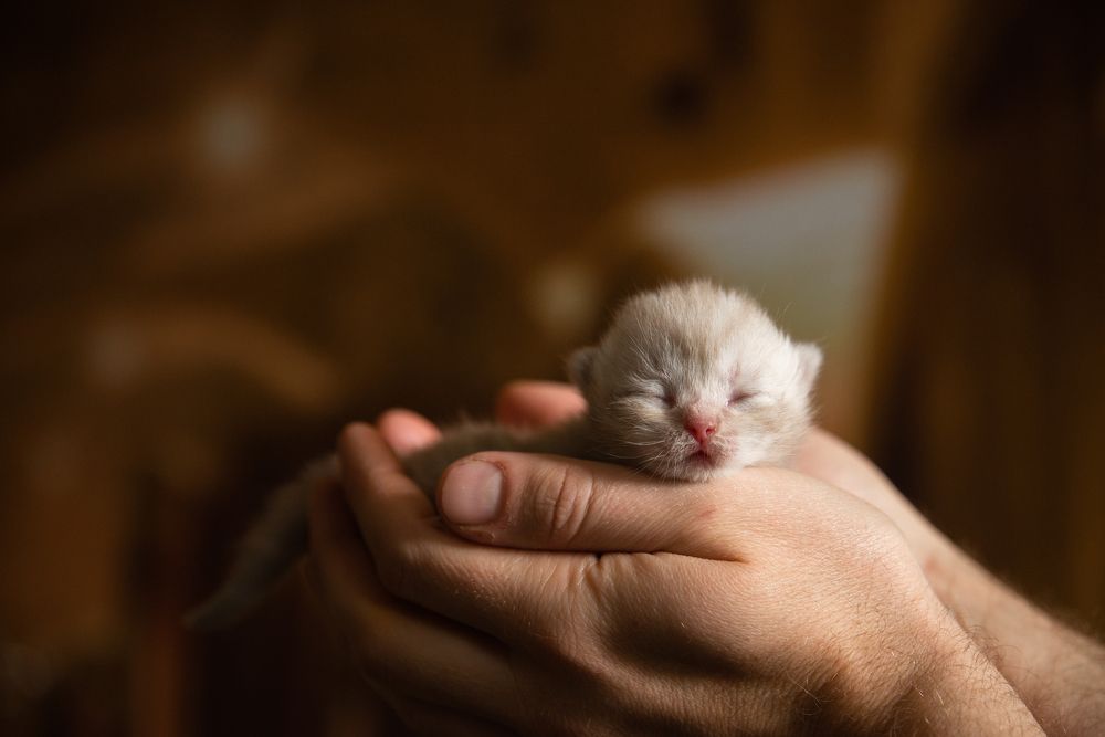 Photograph by Анастасия Мельник