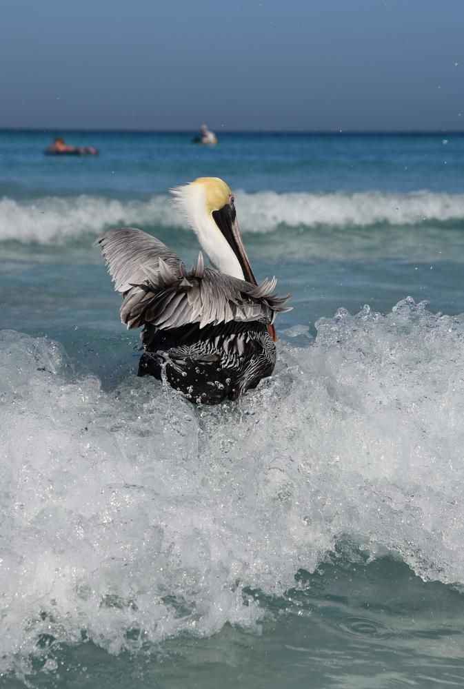 Photograph by Ошеров Григорий Семенович