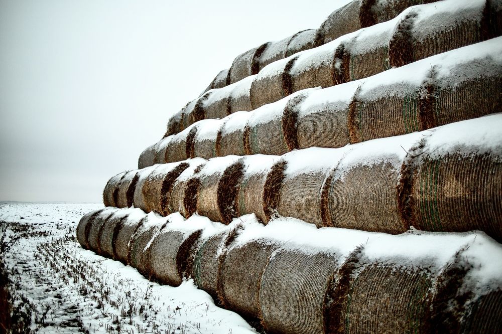 Photograph by Ольга Гаврилова