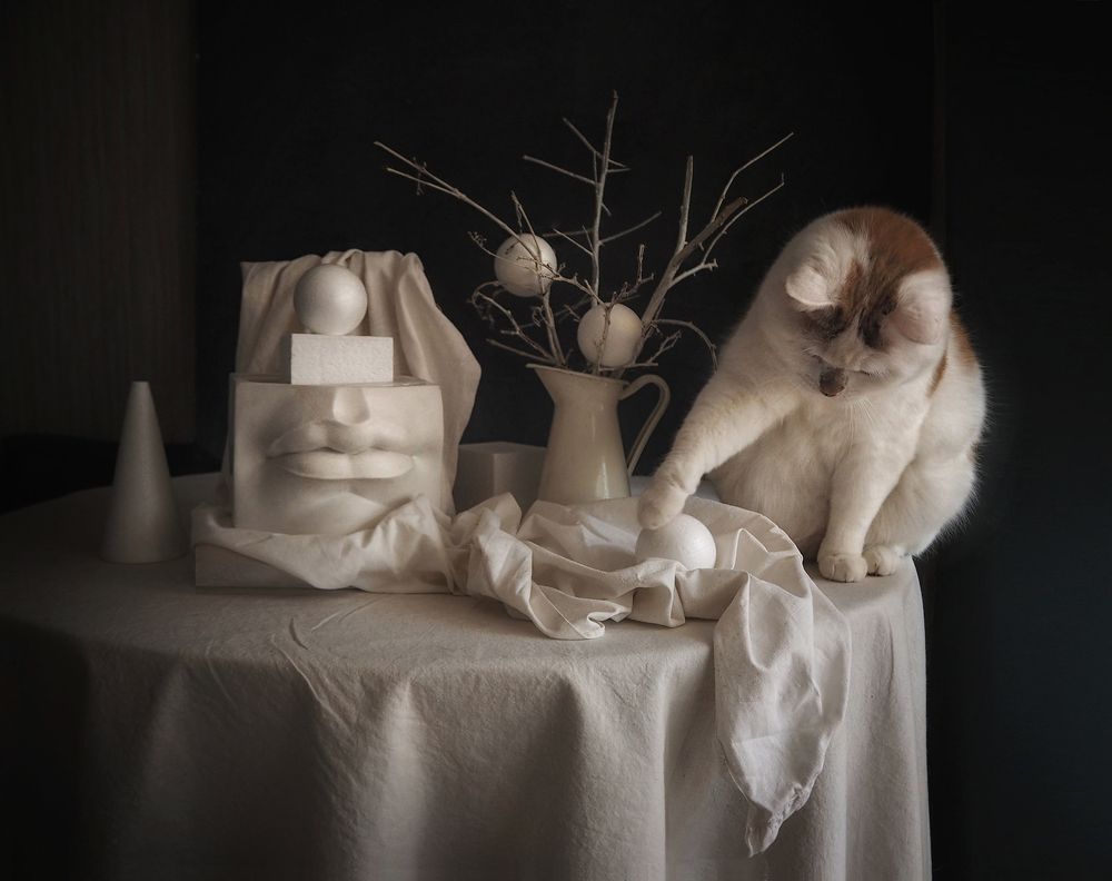 Фотография автора Vera Eremeeva