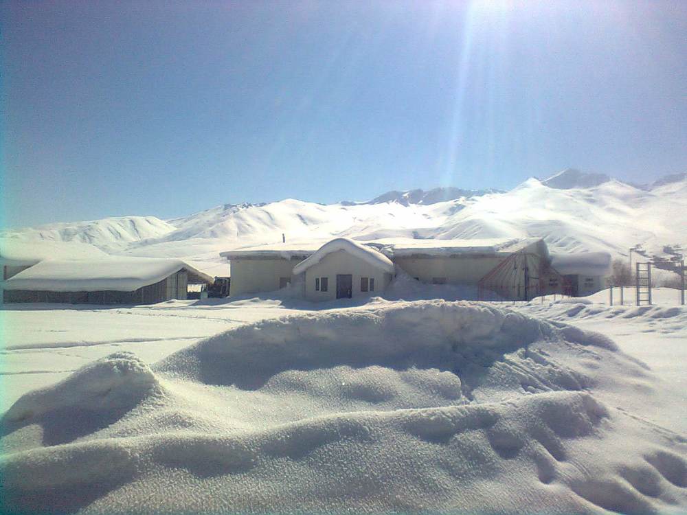 Photograph by Андрей Литвинов