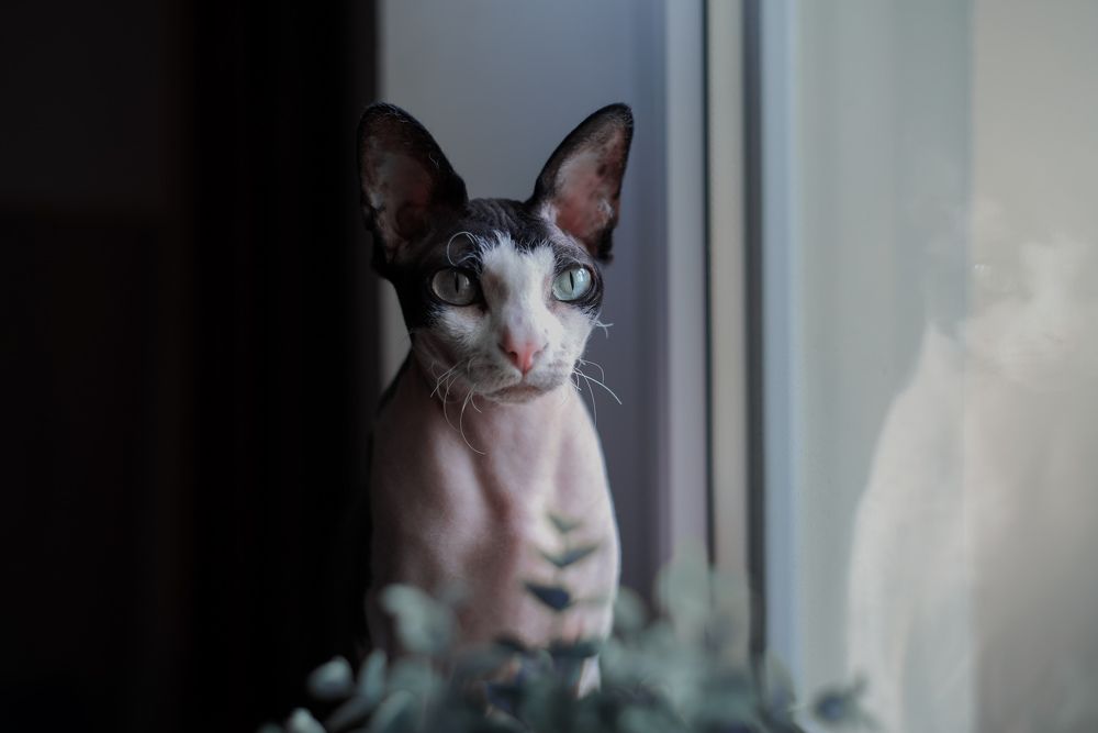 Photograph by Ксения Рябухина