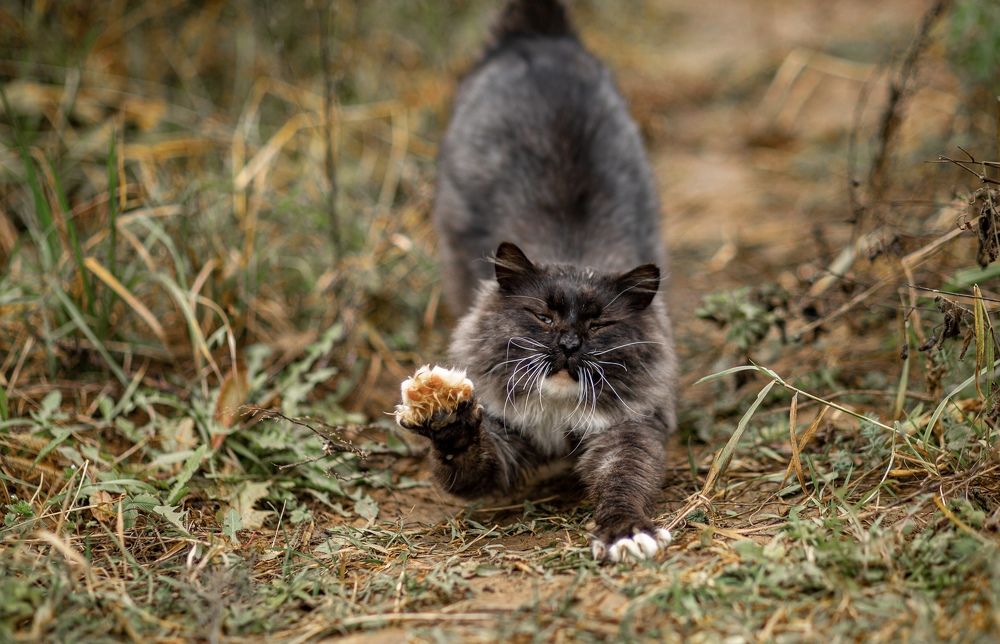 Photograph by Ольга Гаврилова