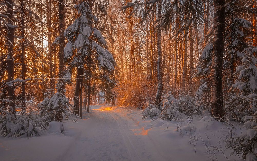 Дендрарий 2.