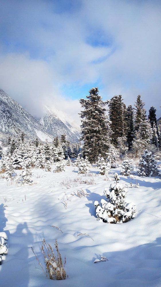 Photograph by Андрей Литвинов