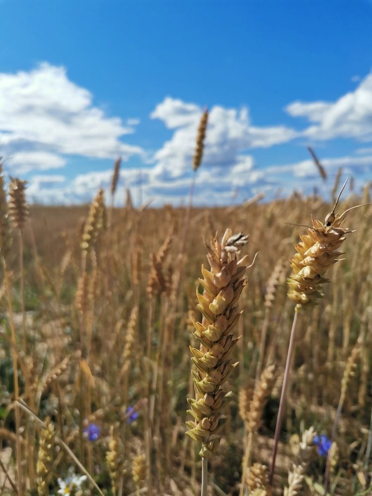 Photograph by Анастасия Проскурнова