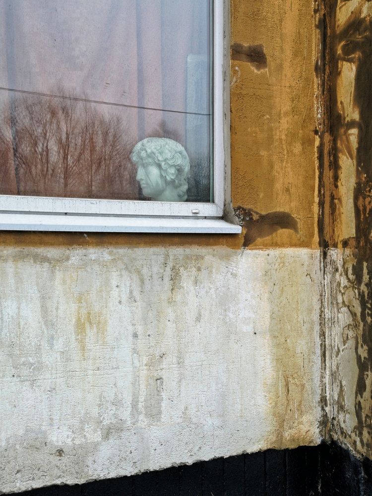 Photograph by Михаил Янкин