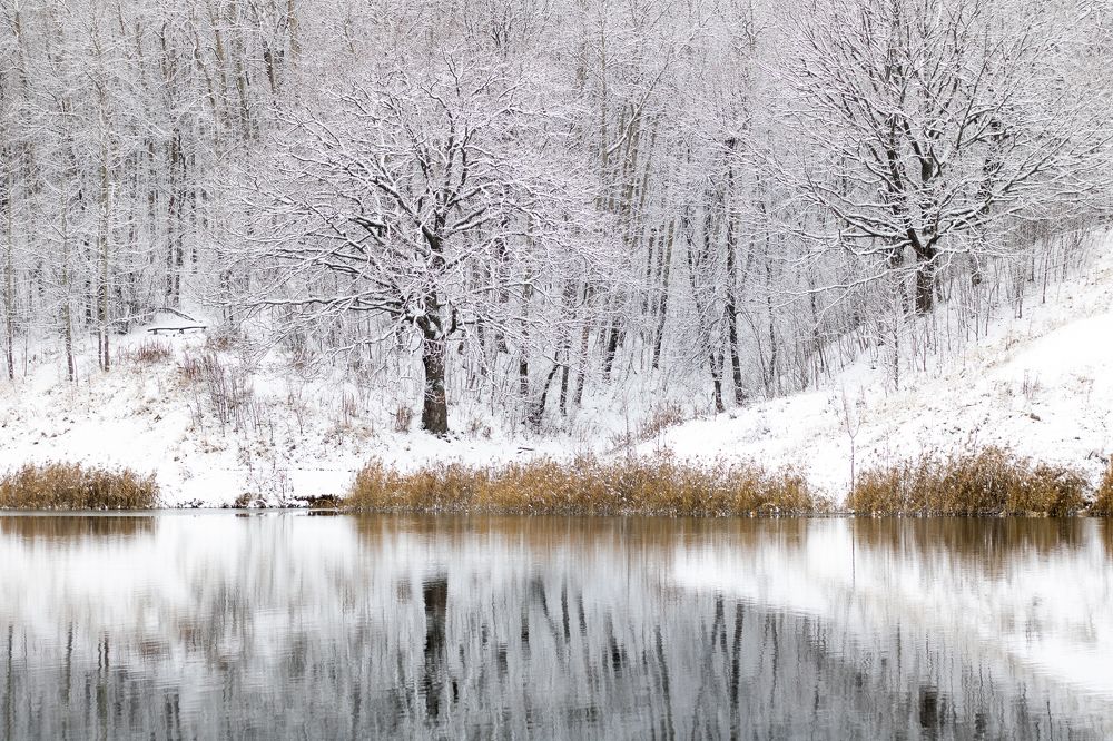 Первый снег