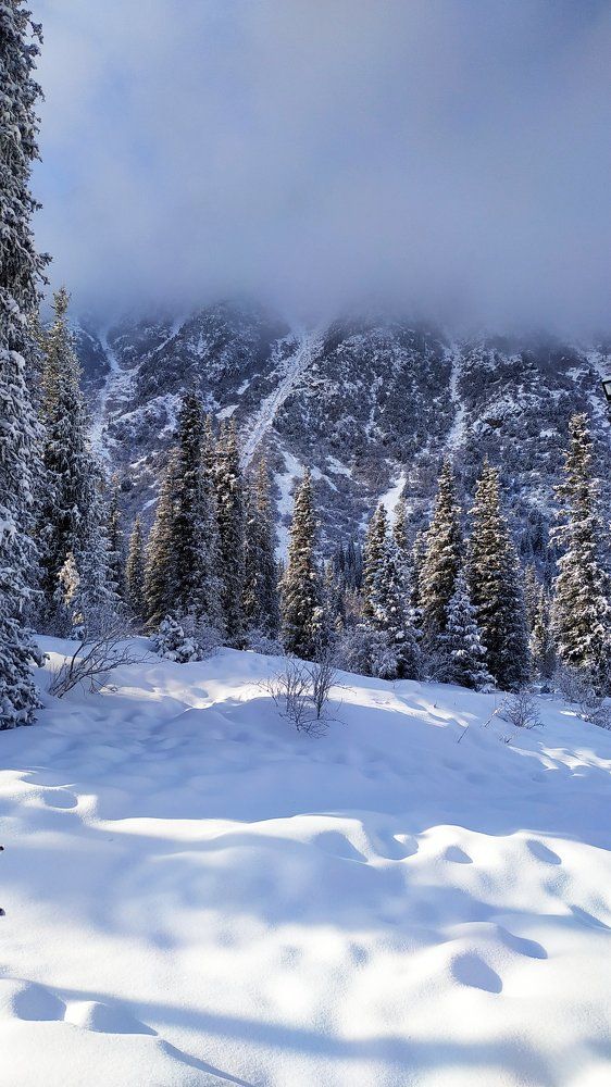 Photograph by Андрей Литвинов