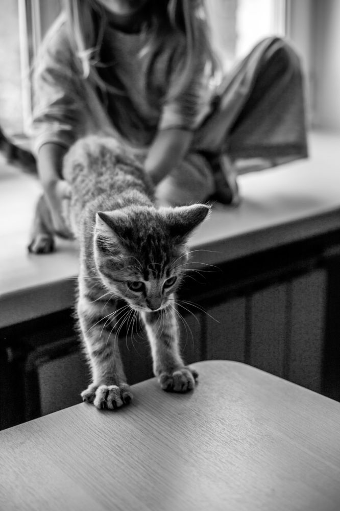 Photograph by Анастасия Макеева